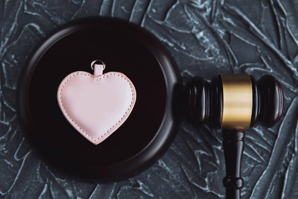 Power and Control: The Absolute Core of Abusive Relationships 11 Legal