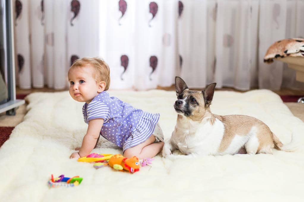 How to Completely Rid Your Home of Pet Odors 5 child sits at home on the floor on a light