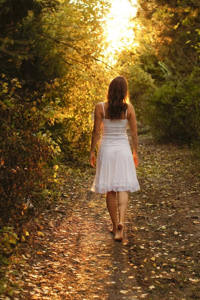 The Truth Behind Walkaway Wives: Debunking 7 Absurd Myths 2 stock photo mysterious path