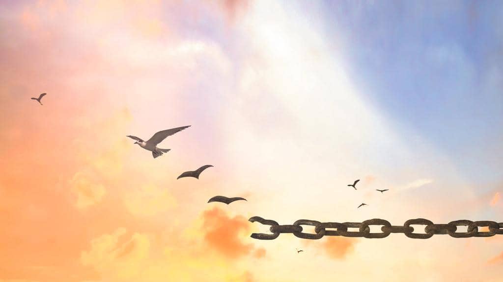 9 Ways Intermittent Reinforcement Keeps You Stuck in Toxic Relationships 12 freedom concept