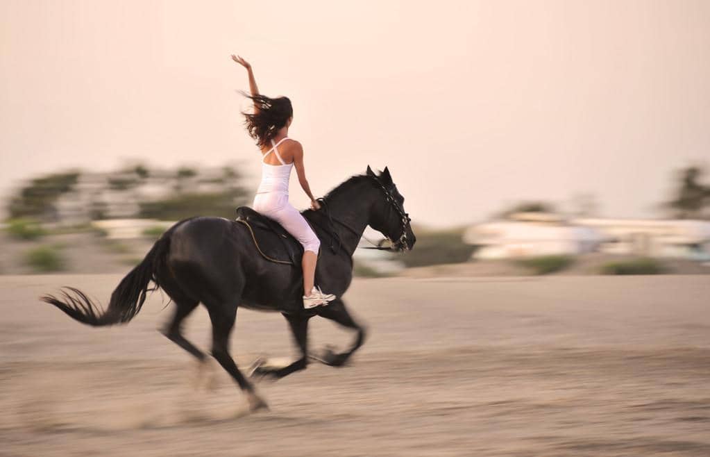 Why Gen X Women Are Staying Single and Crushing It 2 galloping horse 1