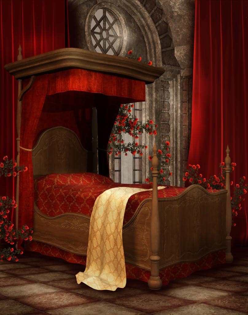The Mystery of Princess Treatment: Who Gets It and Why 4 vintage bedroom with roses
