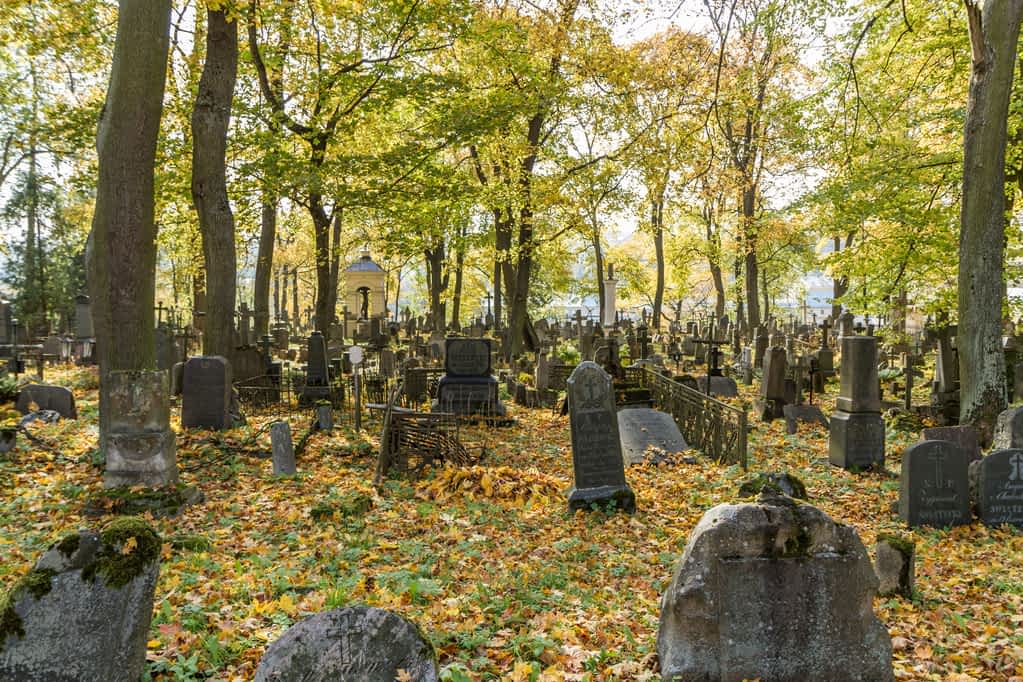 old crosses in old cemetery fall leaves