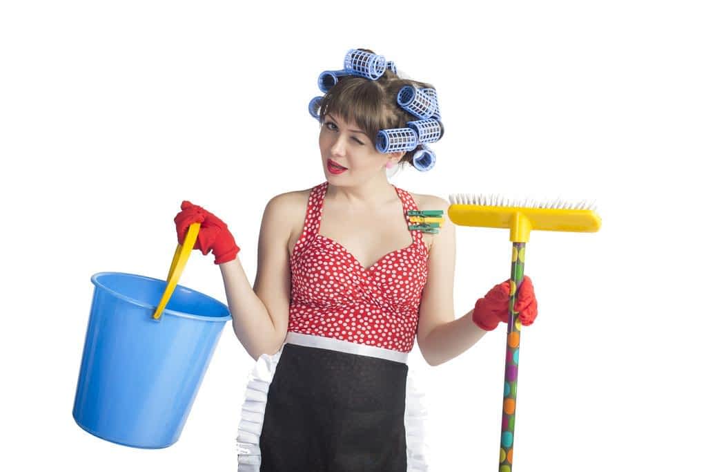 girl housewife cleaner