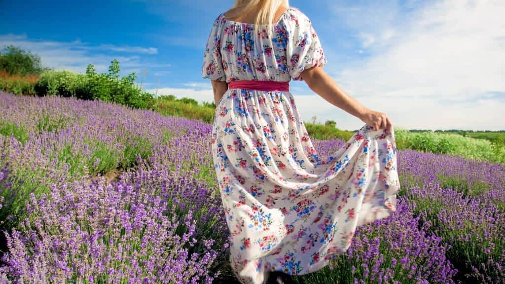 rear view photo of young woman in long dress walking between lavender rows at provence