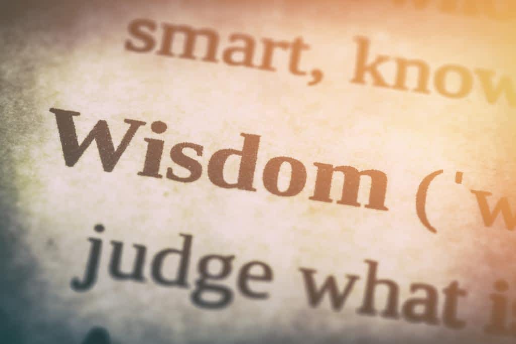 wisdom word advisability dictionary page skills studying literature wise book experience concept trust insight intelligence close up definition concept - stock image