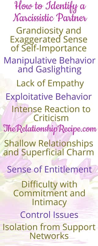 How to Identify a Narcissistic Partner Infographic