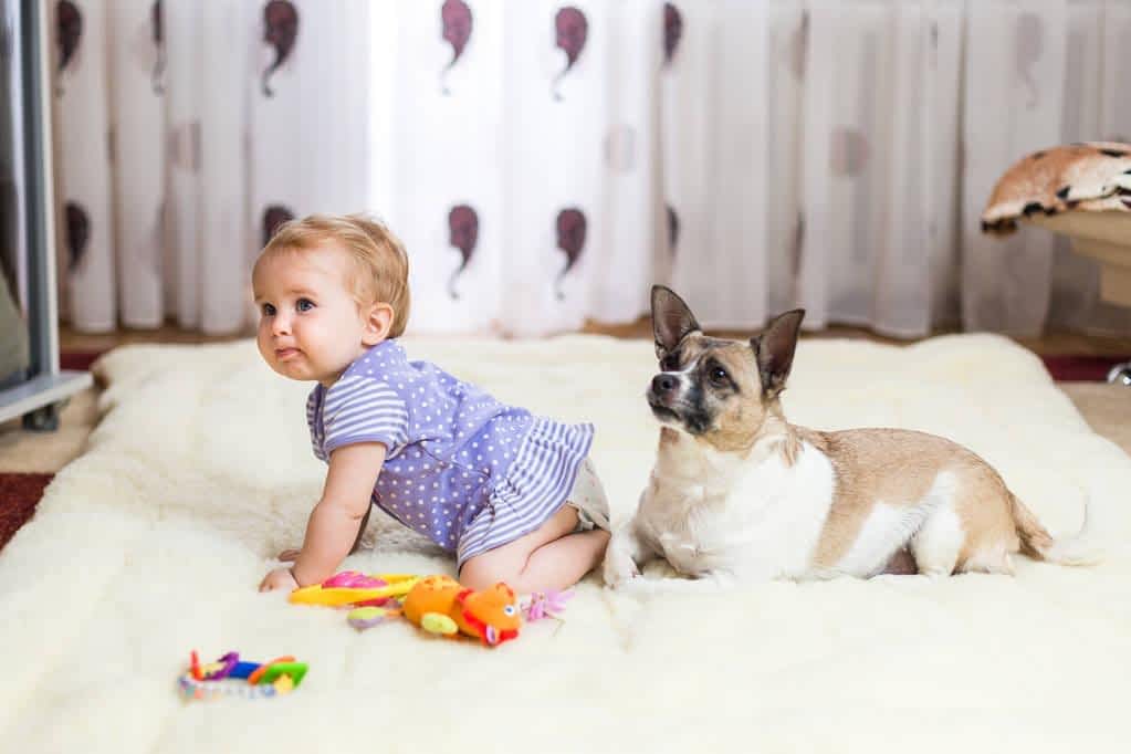 child sits at home on the floor on a light