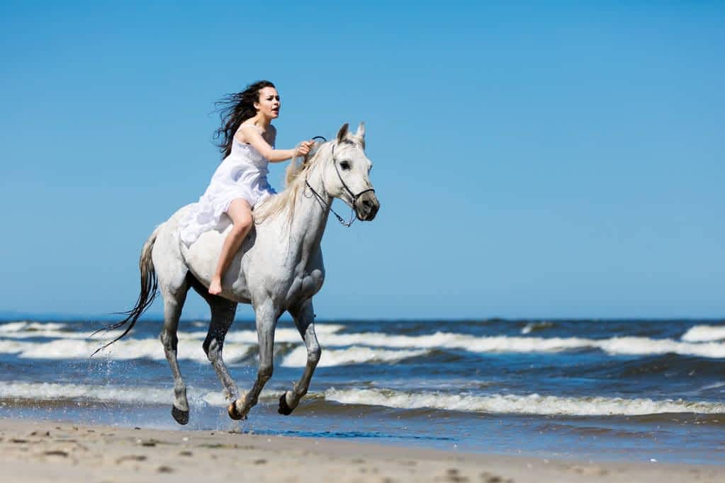 storming beach white horse