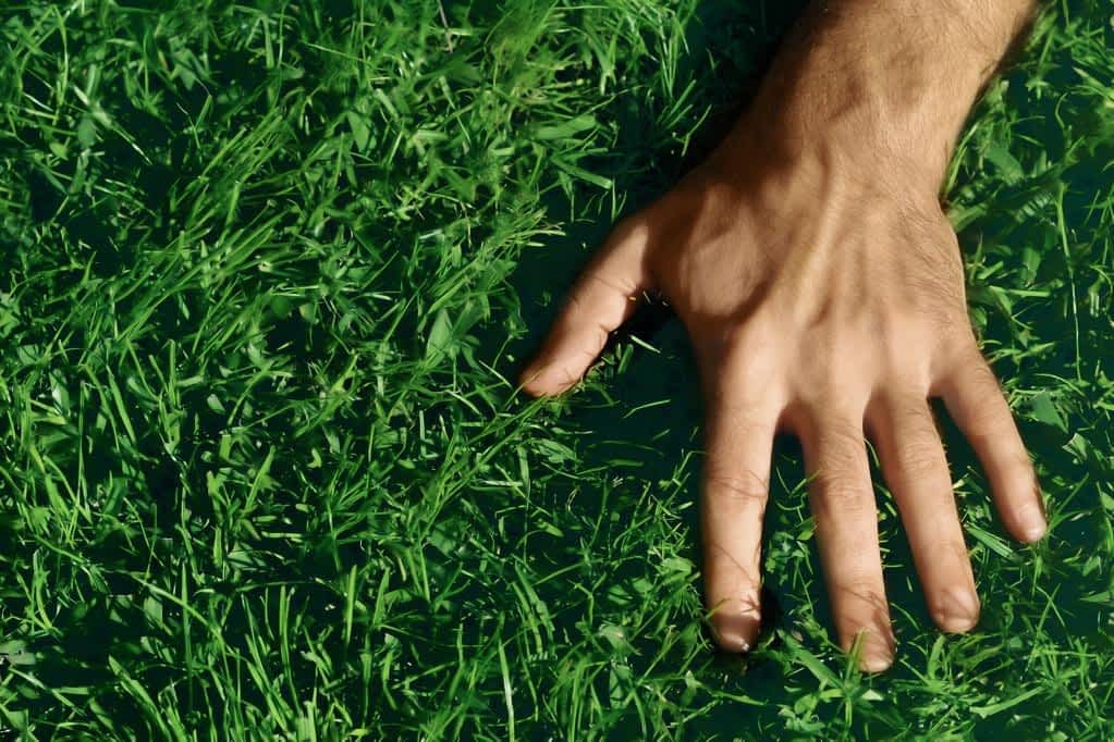 hand on grass