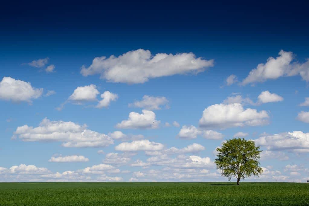 Closure After Divorce: 9 Painful Truths About Letting Go Gracefully