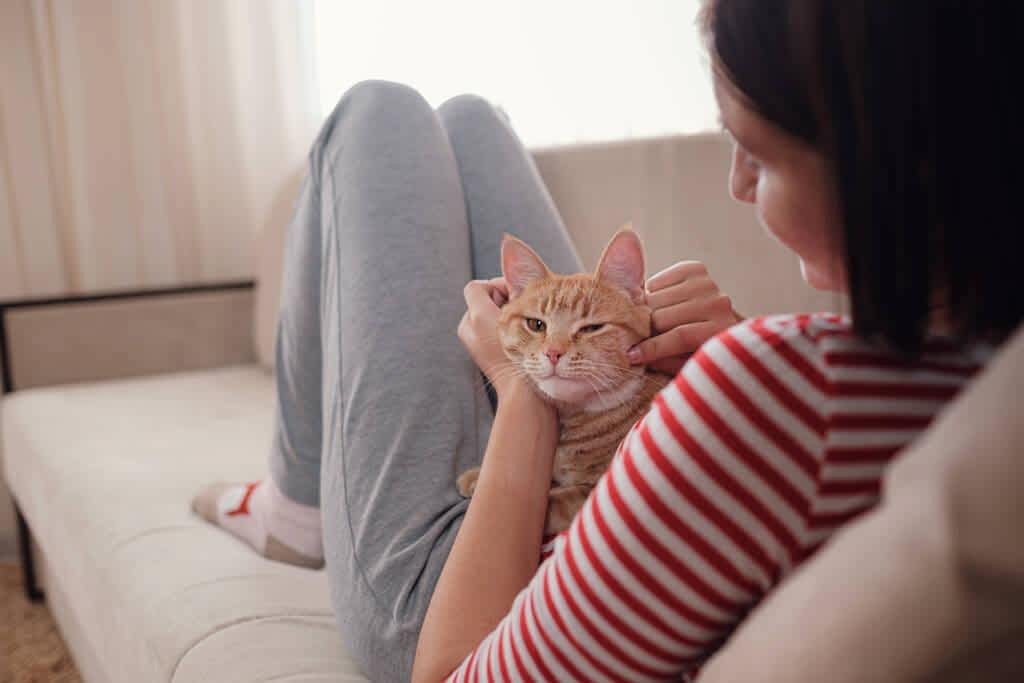 woman relaxing with her cat on a sofa cozy