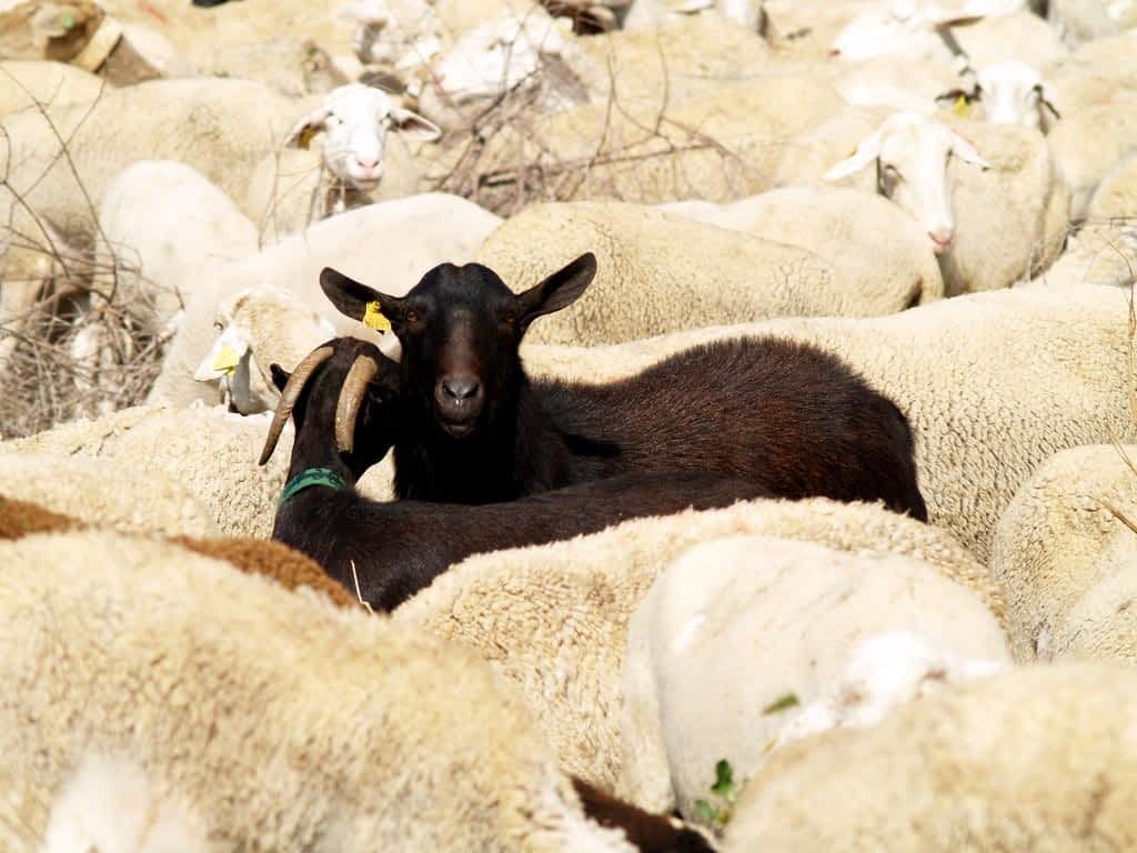 i told you there is a certain dress code